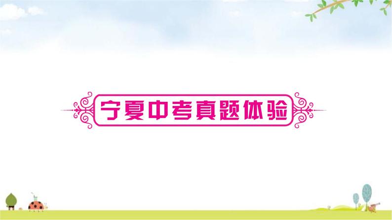 中考数学复习第六章圆第三节与圆有关的计算教学课件07