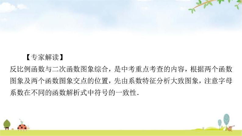 中考数学复习重难点突破二分析、判断函数图象考向3反比例函数与二次函数的综合教学课件第2页