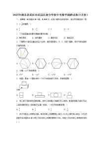 2023年湖北省武汉市武昌区部分学校中考数学调研试卷（3月份）（含解析）