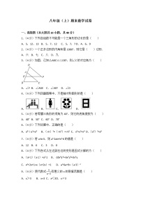 数学八年级上册八年级上期末数学试卷03