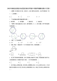 2023年湖北省武汉市武昌区部分学校中考数学调研试卷（3月份）（含答案）