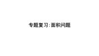 2023年中考数学专题复习课件：面积问题