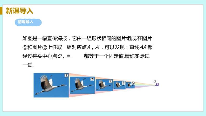 九年级数学华师上册 23.5 位似图形 PPT课件+教案+练习05