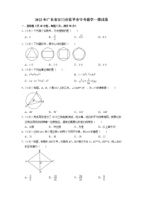 2022年广东省江门市恩平市中考数学一模试卷