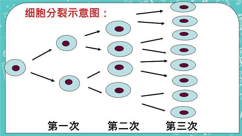 3.3有理数的乘方 课件+教案+习题+素材05