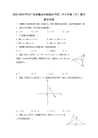 2022-2023学年广东省佛山市南海区平洲二中八年级（下）期中数学试卷（含解析）