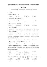 安徽省马鞍山市第八中学2022-2023学年七年级下学期期中数学试题