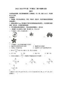 江苏省苏州市吴江区2022-2023学年八年级下学期期中数学试题