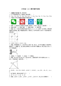 数学八年级上册八年级上期中数学试卷10