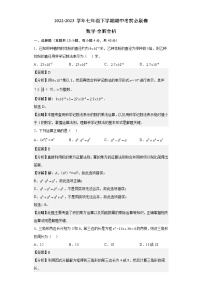 数学（江苏苏州B卷）——2022-2023学年数学七年级下册期中综合素质测评卷（含解析）