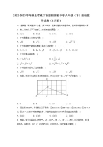 2022-2023学年湖北省咸宁市崇阳实验中学八年级（下）质检数学试卷（3月份）(含解析）