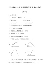 广东省清远市佛冈县石角镇组考2022-2023学年七年级下学期4月期中数学试题