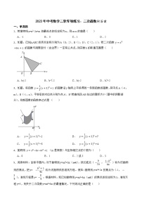 2023年中考数学二轮专项练习：二次函数附答案