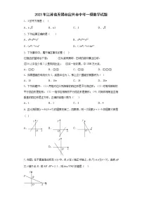 2023年江苏省无锡市宜兴市中考一模数学试题-
