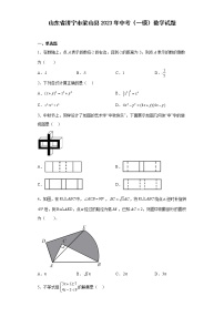 山东省济宁市梁山县2023年中考（一模）数学试题