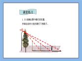 鲁教版五四制数学九上《投影与视图》复习课件+教案
