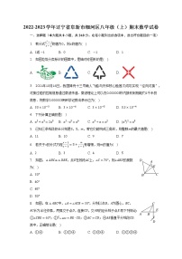 2022-2023学年辽宁省阜新市细河区八年级（上）期末数学试卷(含解析)