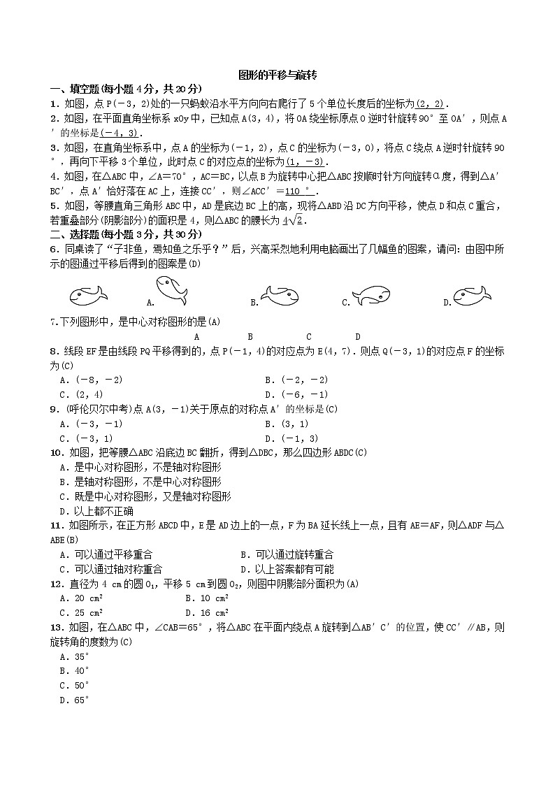 北师大版八年级数学下册期末单元测试卷第三章  图形的平移与旋转第1页