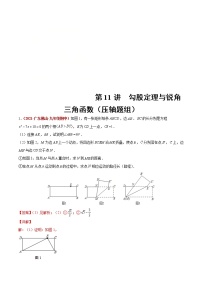 中考数学二轮复习第11讲  勾股定理与锐角三角函数（压轴题组）（教师版）