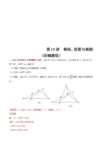 中考数学二轮复习第15讲  相似、投影与视图（教师版）（压轴题组）