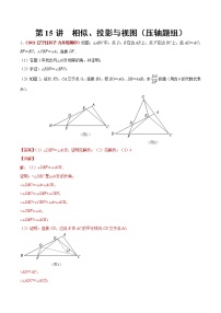 中考数学二轮复习第15讲 相似、投影与视图（压轴题组）（教师版）