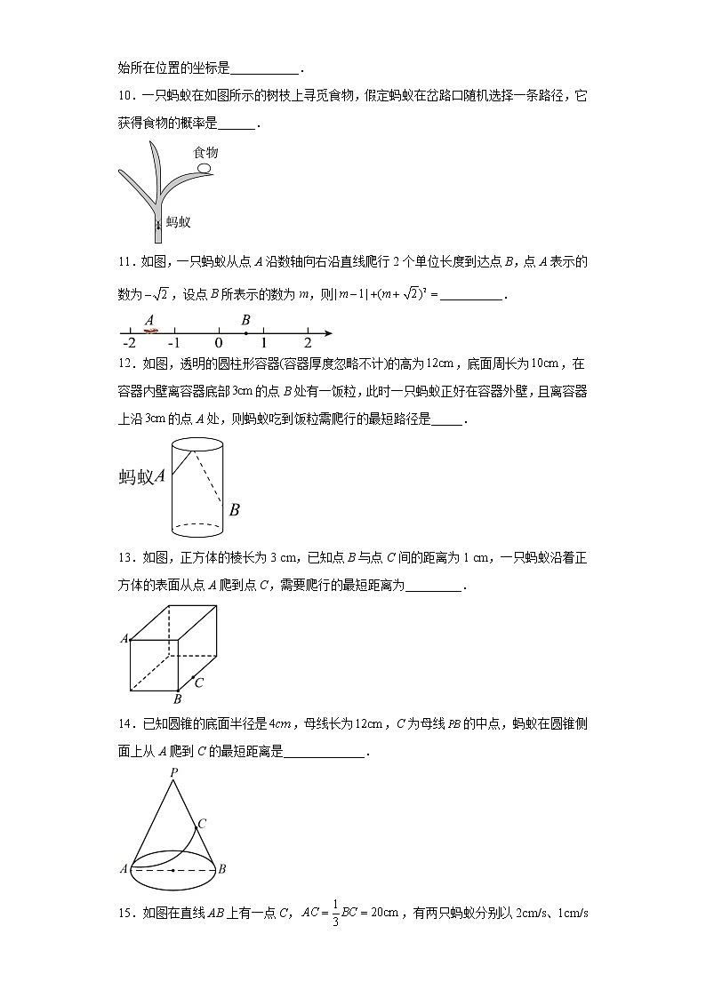 2023年九年级中考数学专题训练：蚂蚁爬行问题附答案第3页