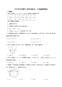 2023年中考数学二轮专项练习：二次函数附答案