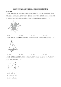 2023年中考数学二轮专项练习：三角形的综合题