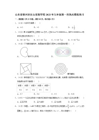 山东省德州市江山实验学校2023年九年级第一次练兵模拟练习数学（含答案）