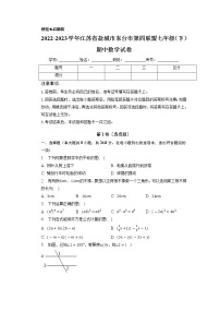 江苏省盐城市东台市第四联盟2022-2023学年七年级下学期期中数学试卷