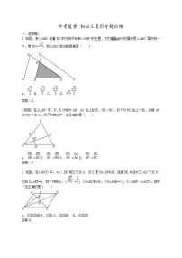 中考数学二轮专题复习：相似三角形专题训练 (含答案)