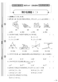 （2023春）青岛版数学初中七年级下册-黄冈360°定制密卷_期中检测题（二）