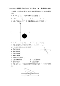 安徽省合肥市庐江县2022-2023学年七年级下学期期中数学试卷