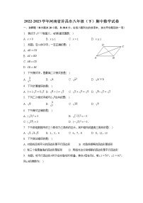 2022-2023学年河南省许昌市八年级（下）期中数学试卷(含解析）