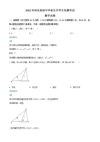 2022年河北省中考数学真题 （教师版）