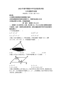 江苏省泰州市兴化市2022-2023学年七年级下学期期中数学试题