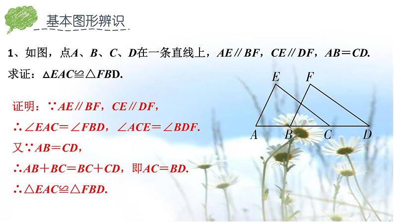 第4章 三角形-全等三角形 北师大版七年级下册期末复习课件第3页