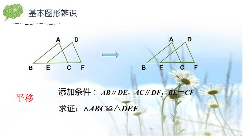 第4章 三角形-全等三角形 北师大版七年级下册期末复习课件第5页