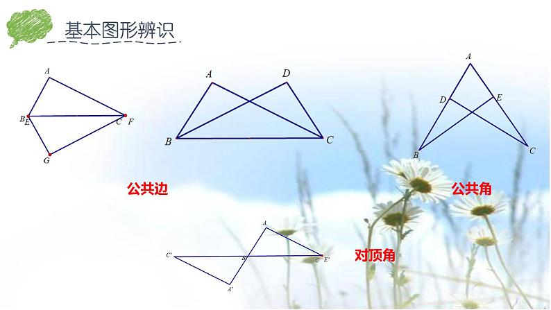 第4章 三角形-全等三角形 北师大版七年级下册期末复习课件第8页