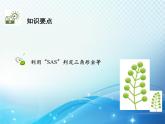 4.3 第3课时利用SAS判定三角形全等 北师大版数学七年级下册教学课件