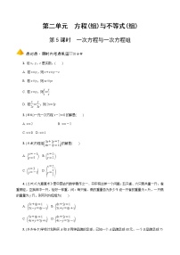 中考数学一轮复习课时练习第5课时  一次方程与一次方程组 (含答案)