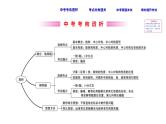 中考数学一轮复习课时练习课件课时40 旋转 (含答案)