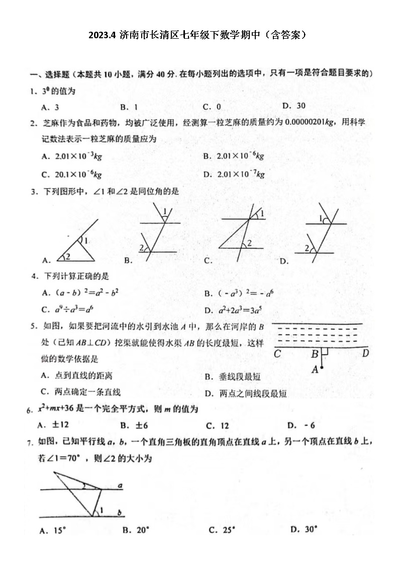2023.4济南市长清区七年级下数学期中（含答案） 试卷01