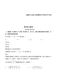 湖南省益阳市2020年中考数学试题（教师版）