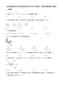 精品解析：2023年山东省陵城区德州市江山实验学校中考一模数学试题