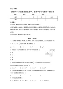 2023年广东省东莞南城中学、湖景中学中考数学一模试卷