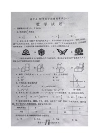 2023年河南省南阳市南召县中考一模数学试题