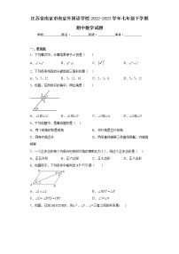 江苏省南京市南京外国语学校2022-2023学年七年级下学期期中数学试题