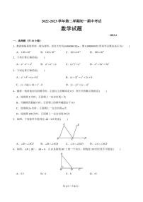 2022-2023深圳市宝安第一外国语学校七下期中数学试卷+答案