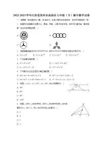 江苏省苏州市高新区2022-2023学年七年级下学期期中数学试卷（含答案）